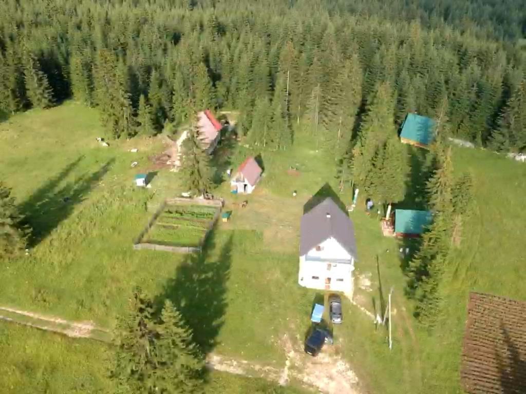 Eco Village Podgora Household Kaljevic Žabljak Buitenkant foto