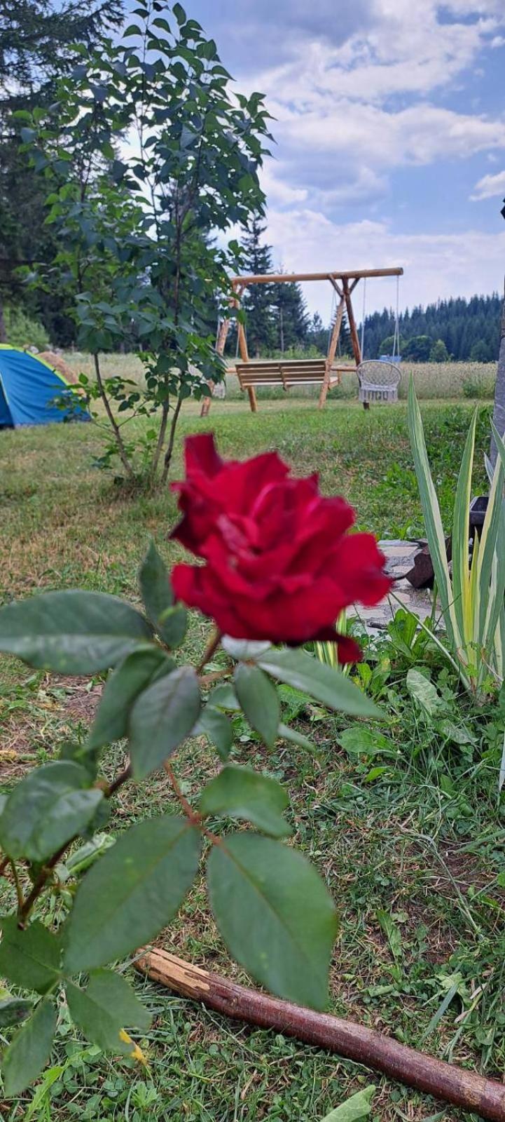 Eco Village Podgora Household Kaljevic Žabljak Buitenkant foto
